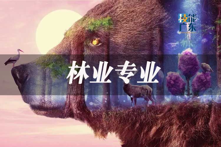 封面图片